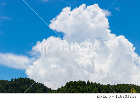 青空と雲(大分県竹田市) 青空と雲(大分県竹田市) 116203218