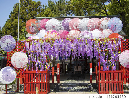 別小江神社 名古屋市 116203420