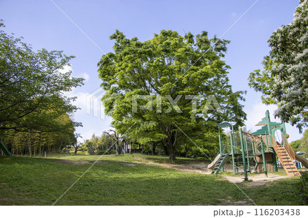 ベティーさんの家旭公園 ベティーさんの家旭公園 116203438