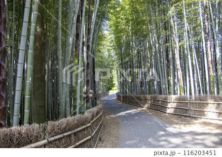 ちたの竹林 知多市 116203451