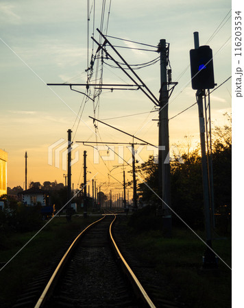 Railway tracks at sunset. Transport electricity. Poles with wires. Road in the night. Railway concept Pole wires. 116203534