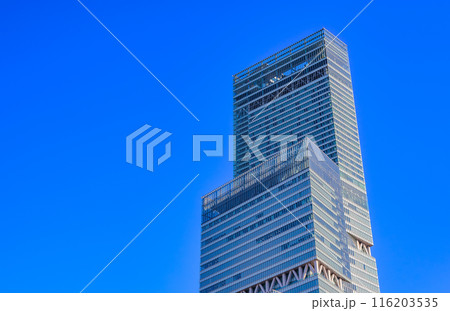 大阪府　大阪市　天王寺公園から見た あべのハルカス 116203535