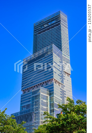 大阪府　大阪市　天王寺公園から見た あべのハルカス 116203537