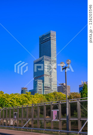 大阪府　大阪市　天王寺公園から見た あべのハルカス 116203546