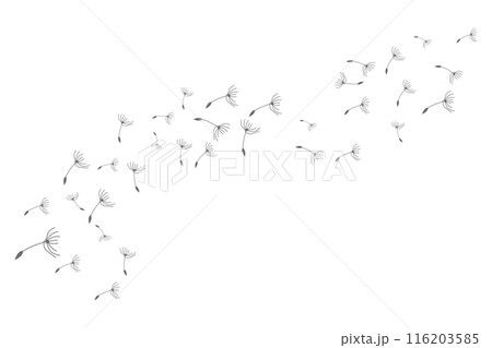 Dandelion Logo, Vector Plant Dandelion flower, Design Icon Template Dandelion Logo, Vector Plant Dandelion flower, Design Icon Template 116203585