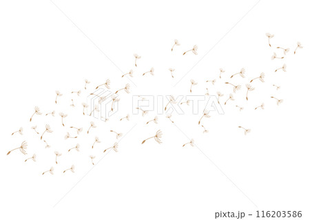 Dandelion Logo, Vector Plant Dandelion flower, Design Icon Template Dandelion Logo, Vector Plant Dandelion flower, Design Icon Template 116203586