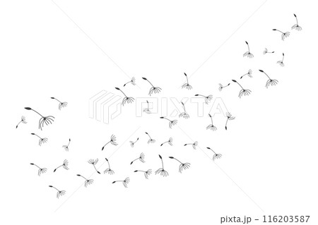 Dandelion Logo, Vector Plant Dandelion flower, Design Icon Template Dandelion Logo, Vector Plant Dandelion flower, Design Icon Template 116203587