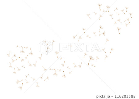 Dandelion Logo, Vector Plant Dandelion flower, Design Icon Template Dandelion Logo, Vector Plant Dandelion flower, Design Icon Template 116203588