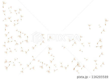 Dandelion Logo, Vector Plant Dandelion flower, Design Icon Template Dandelion Logo, Vector Plant Dandelion flower, Design Icon Template 116203589
