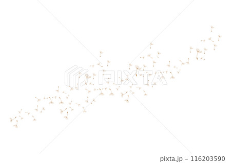 Dandelion Logo, Vector Plant Dandelion flower, Design Icon Template Dandelion Logo, Vector Plant Dandelion flower, Design Icon Template 116203590