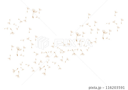 Dandelion Logo, Vector Plant Dandelion flower, Design Icon Template 116203591