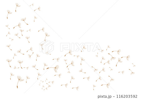 Dandelion Logo, Vector Plant Dandelion flower, Design Icon Template Dandelion Logo, Vector Plant Dandelion flower, Design Icon Template 116203592