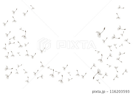 Dandelion Logo, Vector Plant Dandelion flower, Design Icon Template Dandelion Logo, Vector Plant Dandelion flower, Design Icon Template 116203593