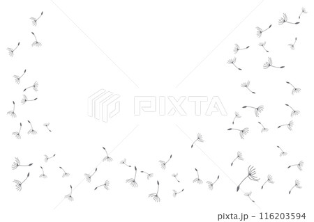 Dandelion Logo, Vector Plant Dandelion flower, Design Icon Template Dandelion Logo, Vector Plant Dandelion flower, Design Icon Template 116203594