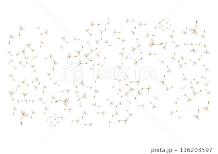 Dandelion Logo, Vector Plant Dandelion flower, Design Icon Template Dandelion Logo, Vector Plant Dandelion flower, Design Icon Template 116203597