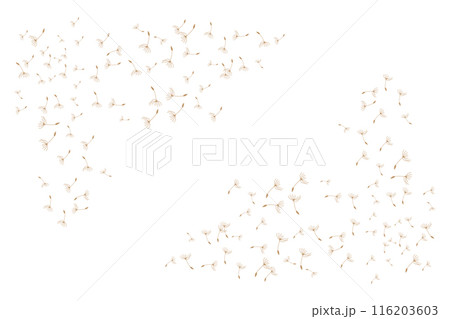 Dandelion Logo, Vector Plant Dandelion flower, Design Icon Template Dandelion Logo, Vector Plant Dandelion flower, Design Icon Template 116203603