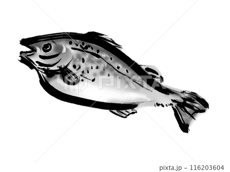 魚の鱈の手書き和風筆イラスト素材 116203604