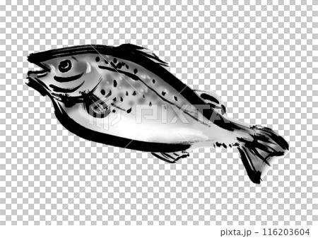 Hand-drawn Japanese-style brush illustration material of cod fish 116203604