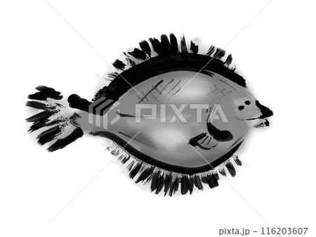 魚のカレイの手書き和風筆イラスト素材 116203607