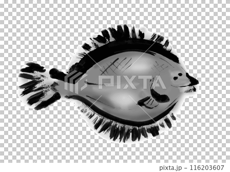 魚のカレイの手書き和風筆イラスト素材 116203607