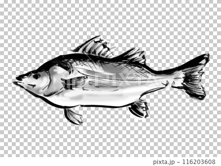 Hand-drawn Japanese-style brush illustration material of fish 116203608