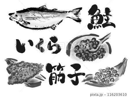 鮭とイクラとすじこの手書き和風筆イラスト素材 116203610