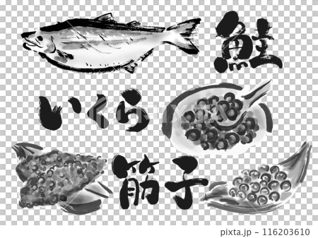 鮭とイクラとすじこの手書き和風筆イラスト素材 116203610