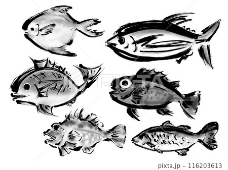 いろいろな手書きの魚の集合　和風筆書きの魚セット 116203613