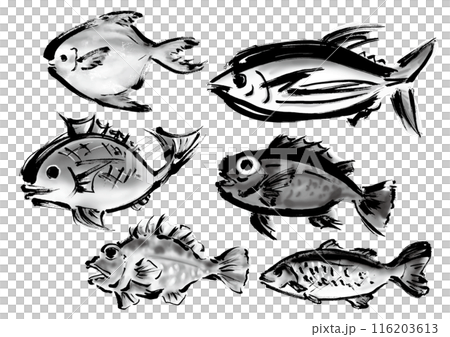いろいろな手書きの魚の集合　和風筆書きの魚セット 116203613