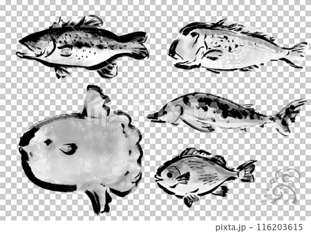 各種手繪魚合輯-日式畫筆魚套裝 各種手繪魚合輯-日式畫筆魚套裝 116203615
