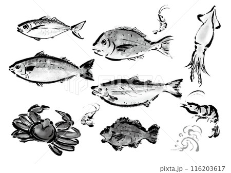 いろいろな手書きの魚の集合　和風筆書きの魚セット 116203617