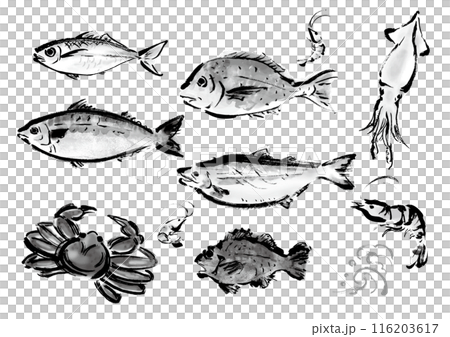いろいろな手書きの魚の集合　和風筆書きの魚セット 116203617