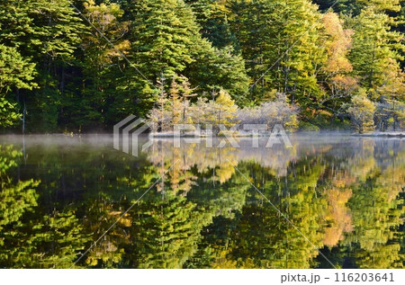 秋の上高地・明神池 116203641