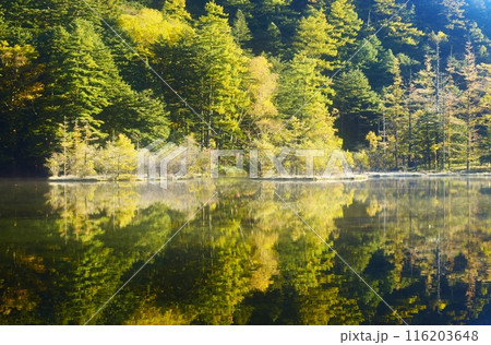秋の上高地・明神池 秋の上高地・明神池 116203648