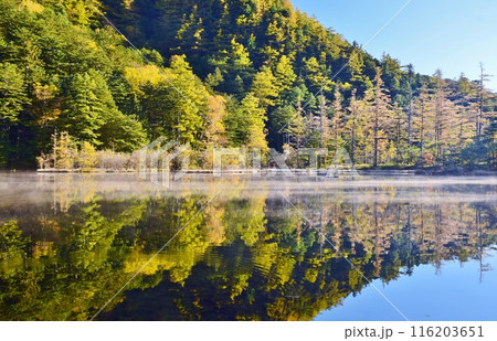 秋の上高地・明神池 116203651