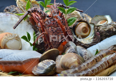 海の恵み満載、磯の香り漂う豪華盛り合わせ 116203710
