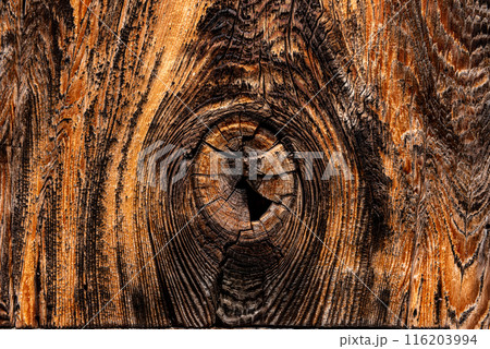 Wood texture with natural grain 116203994