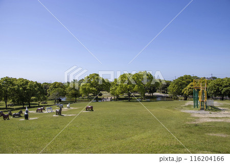 海南こどもの国 公園 116204166