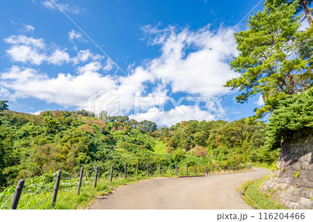春日山城跡 戦国時代の名将・上杉謙信公の居城 自然の地形を巧みに利用した春日山城の堅固な城塞 春日山城跡 戦国時代の名将・上杉謙信公の居城 自然の地形を巧みに利用した春日山城の堅固な城塞 116204466