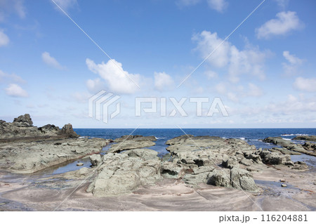 千畳敷海岸 青森県 千畳敷海岸 青森県 116204881