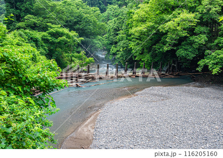 京都賀茂川上流風景　 116205160