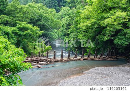 京都賀茂川上流風景 京都賀茂川上流風景 116205161