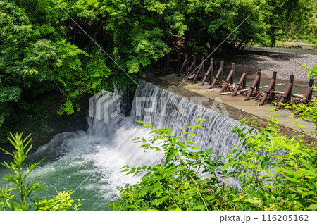 京都賀茂川上流風景 堰を流れ落ちる水 京都賀茂川上流風景 堰を流れ落ちる水 116205162