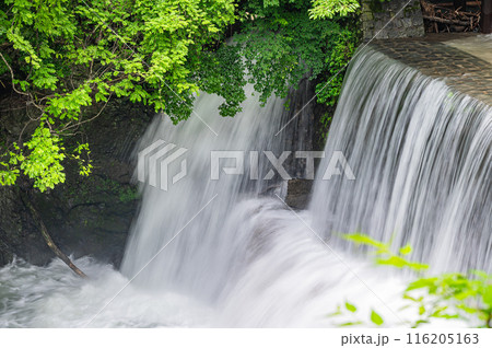 京都賀茂川上流風景 堰を流れ落ちる水 京都賀茂川上流風景 堰を流れ落ちる水 116205163