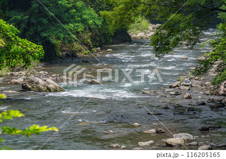 京都賀茂川上流風景　 116205165