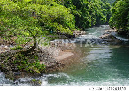 京都賀茂川上流風景　鞍馬川合流地点 116205166