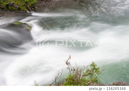京都賀茂川上流風景　鞍馬川合流地点 116205168