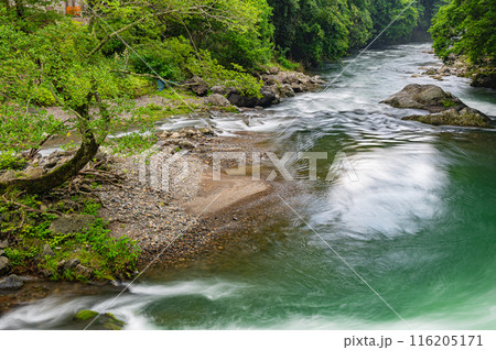 京都賀茂川上流風景 鞍馬川合流地点 京都賀茂川上流風景 鞍馬川合流地点 116205171