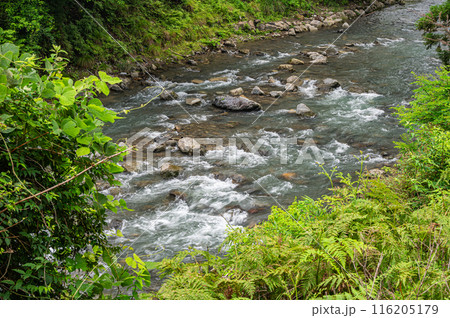 京都賀茂川上流風景 京都賀茂川上流風景 116205179