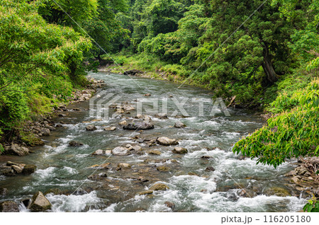京都賀茂川上流風景 京都賀茂川上流風景 116205180